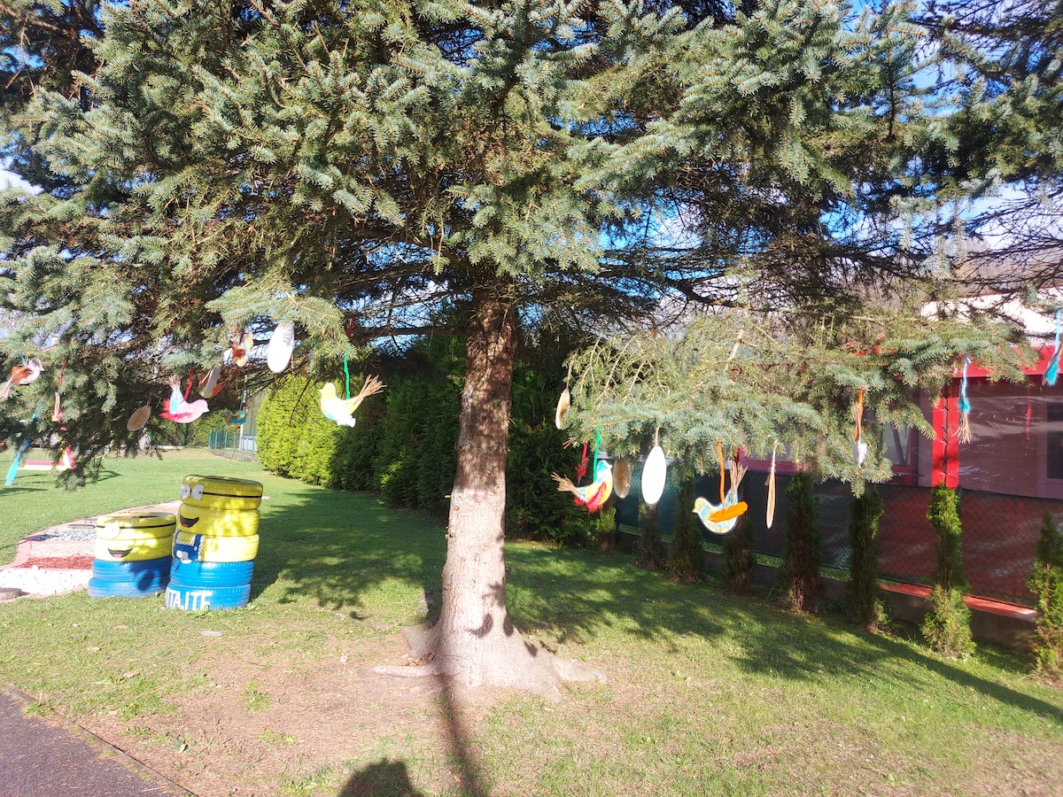 20231106_101149.jpg