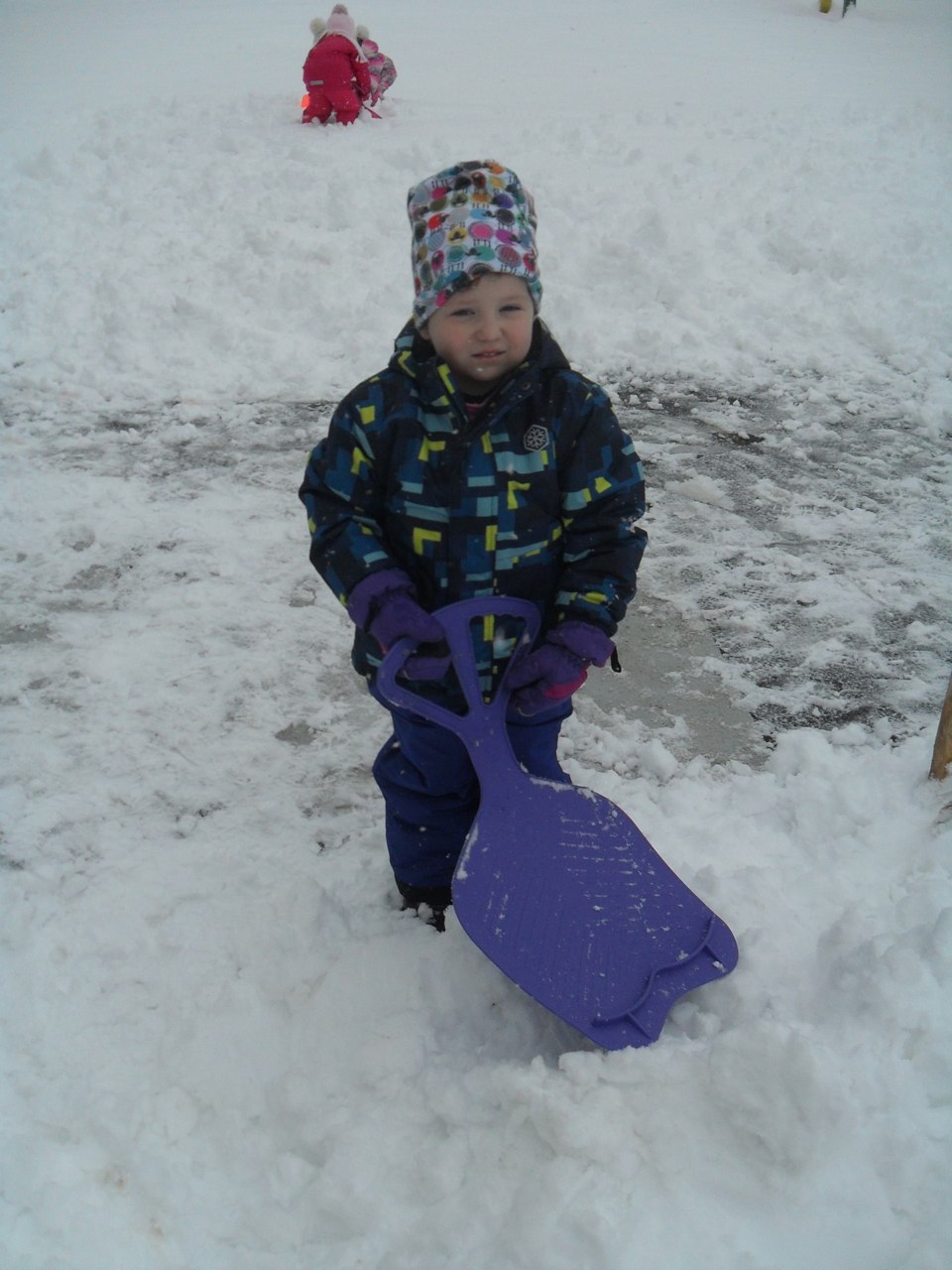 SAM_7809.jpg
