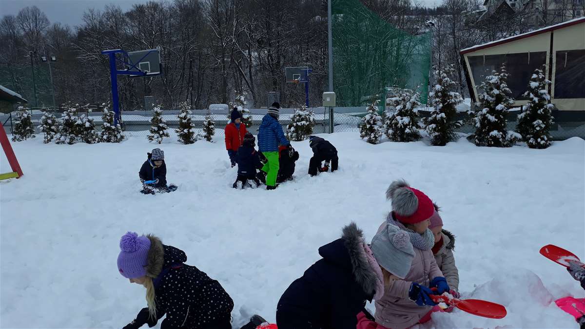 20190129_101048.jpg