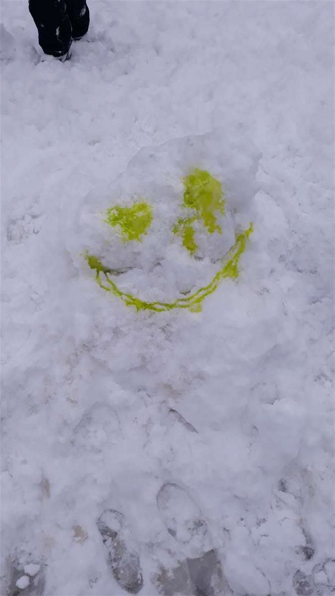 20190129_103138.jpg