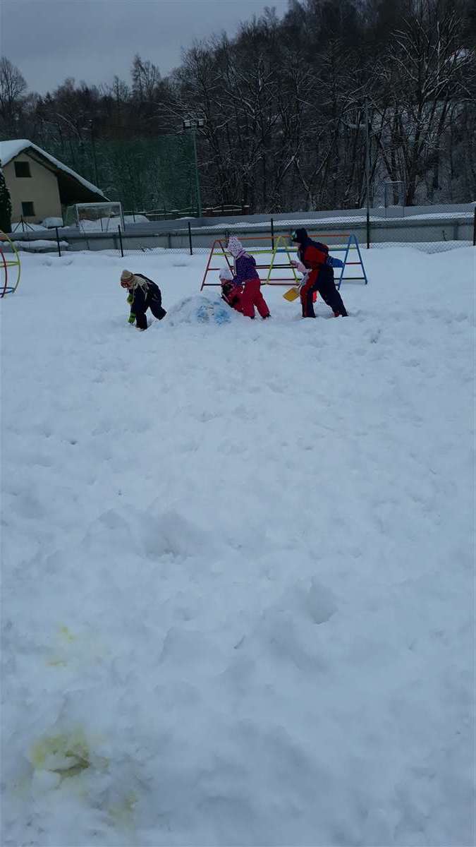 20190129_103413.jpg