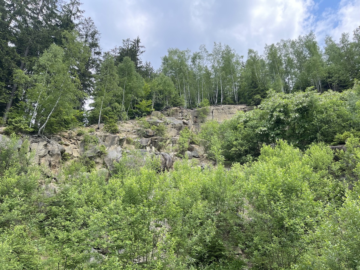 IMG_5942.jpeg