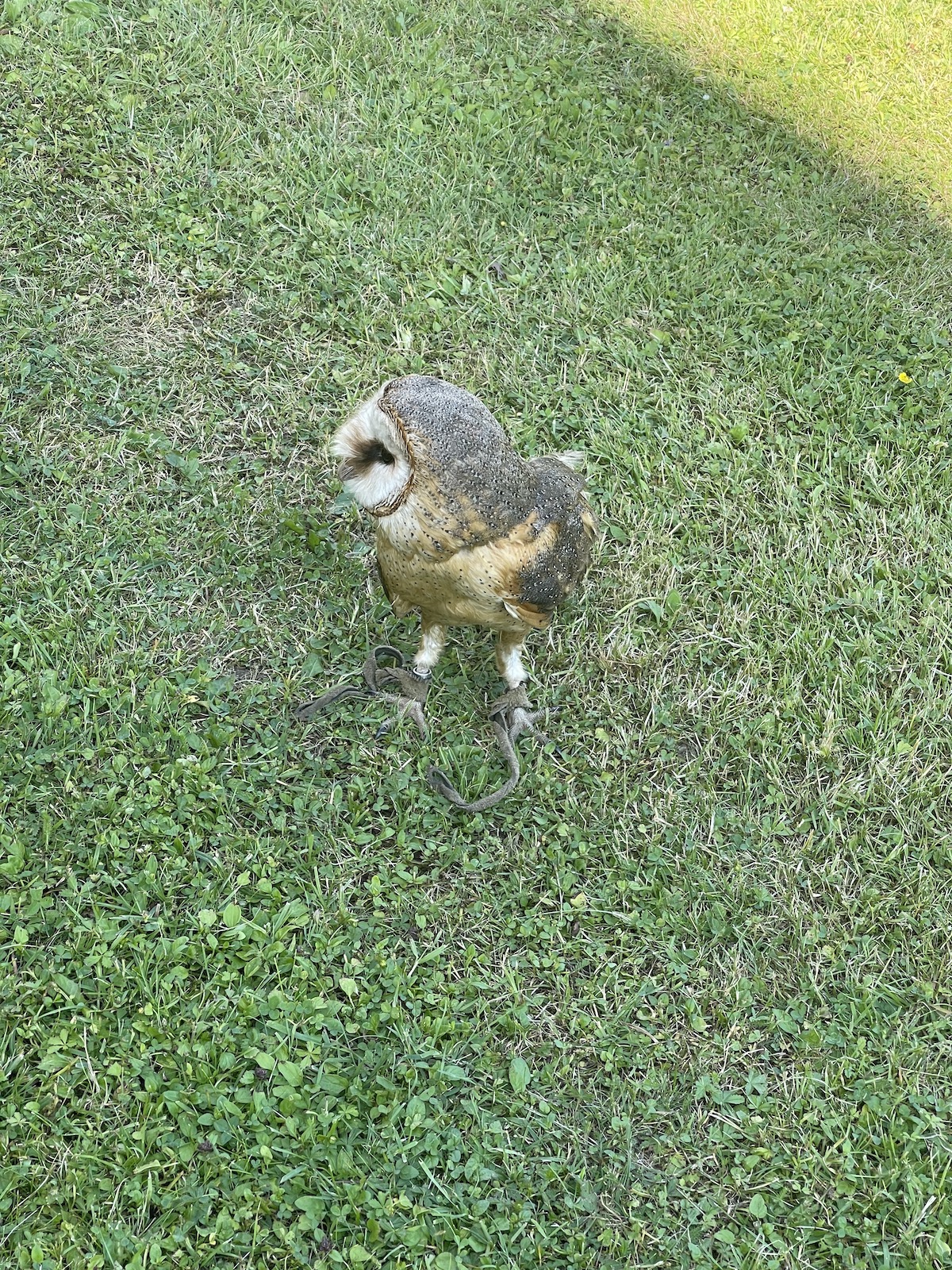 IMG_6622.jpeg